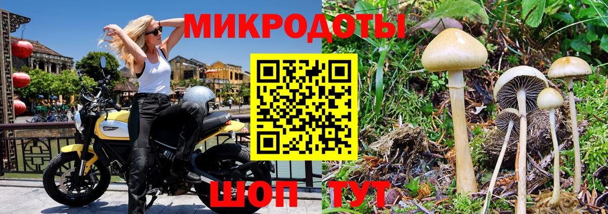 Чернушка  Псилоцибиновые грибы GOLDEN TEACHER  Вход с VPN  Псилоцибиновые грибы MAGIC MUSHROOMS 